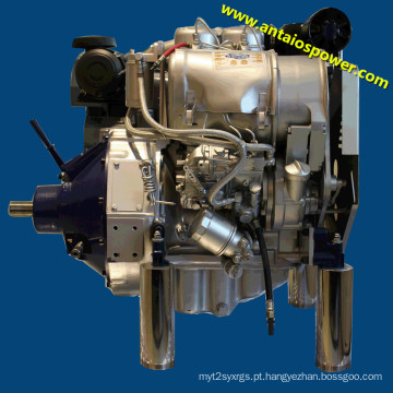 Motor Deutz 4 tempos e 2 cilindros a diesel (F2L912)